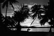 Cook Islands_285-72-23 ~ 293-29