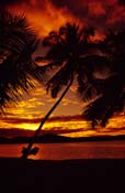 Cook Islands_285-72-24