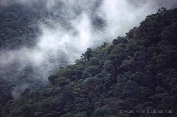 Costa Rica_393-11