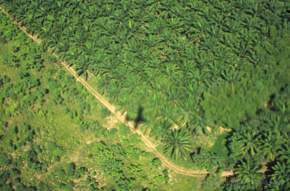 Costa Rica_417-01