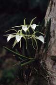 Costa Rica_400-10