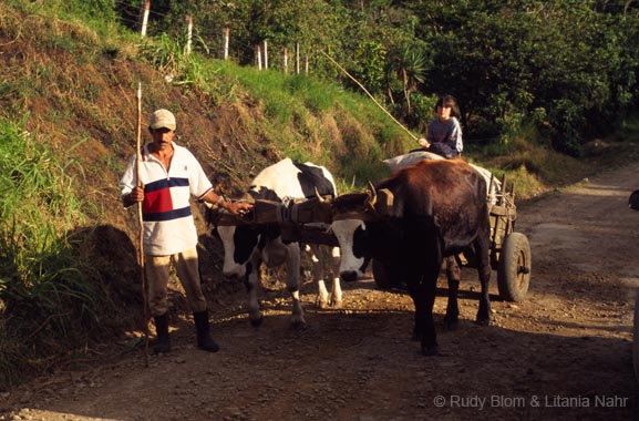 Costa Rica_413-05