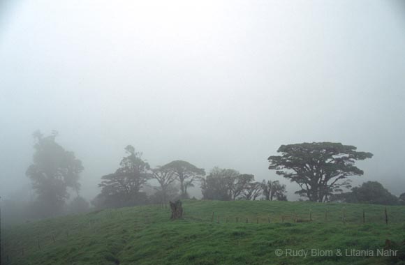 Costa Rica_404-01