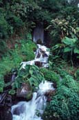 Costa Rica_406-04