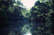 Costa Rica_397-15