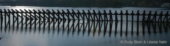 200311_DSC_0377a
