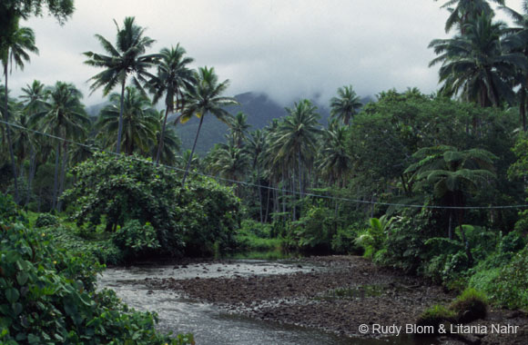 Fiji_373-106-16