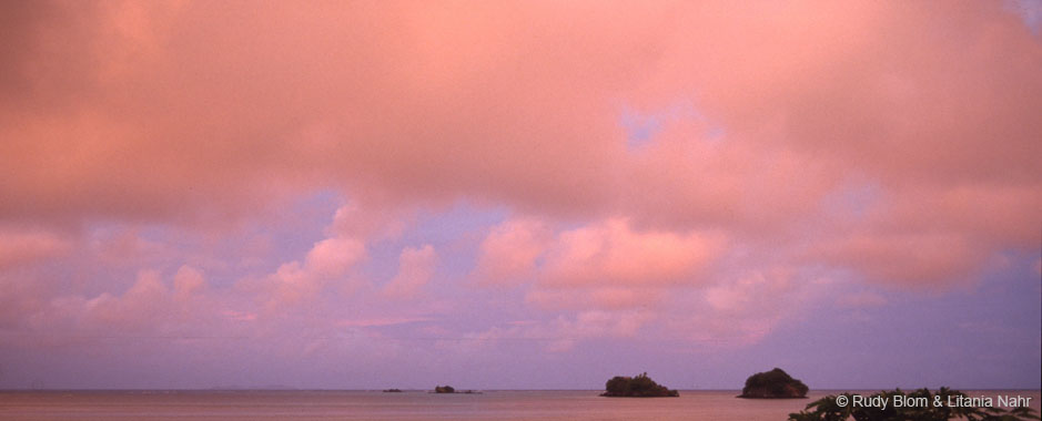 Fiji_374-106-37