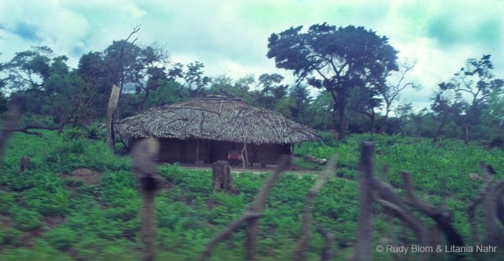 Gambia_Senegal_216-43-20 (214)