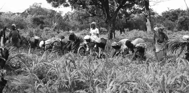 Gambia_Senegal_216-44-08 (215)