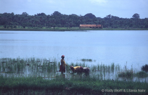 Gambia_Senegal_216-44-24
