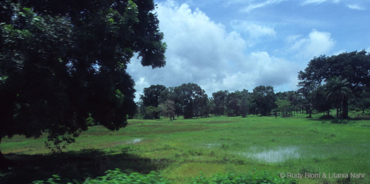 Gambia_Senegal_217-44-47