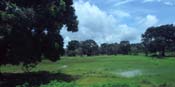 Gambia_Senegal_217-44-47