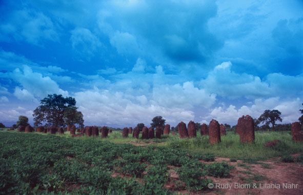 Gambia_Senegal_217-45-23