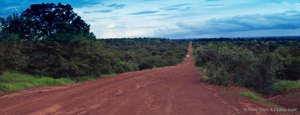 Gambia_Senegal_217-45-26