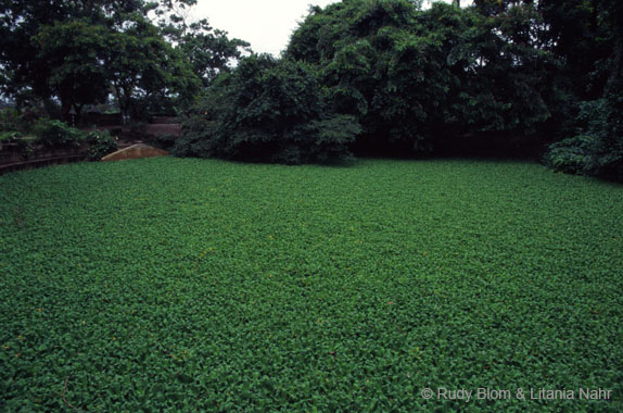 Gambia_Senegal_211-41-22