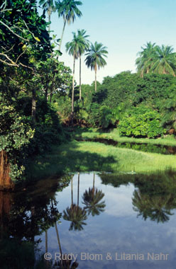 Gambia_Senegal_212-41-50