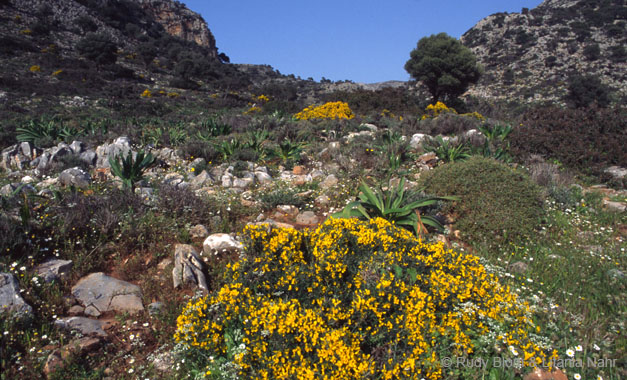 Greece_228-48-29