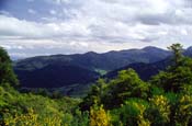 New Zealand_346-93-40