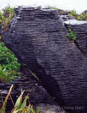 New Zealand_351-96-03