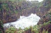 New Zealand_351-96-05