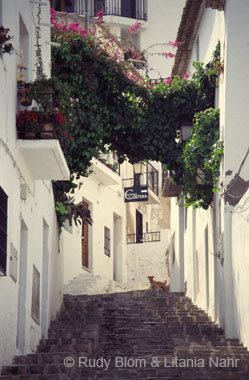 Spain_Altea_180-36-21