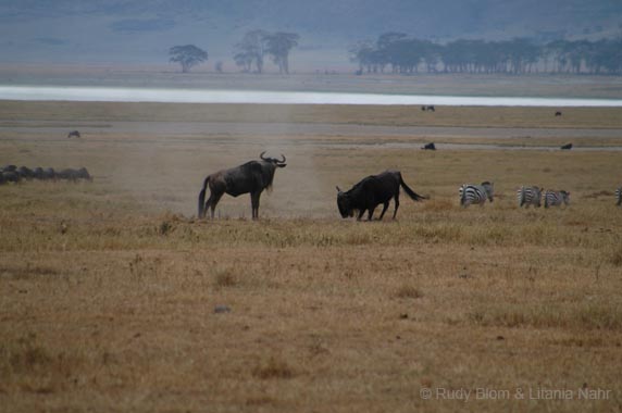 Tanzania_200307_10DSC_0048