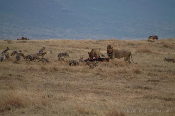 Tanzania_200307_10DSC_0080