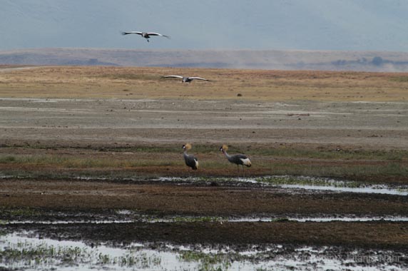 Tanzania_200307_11DSC_0037