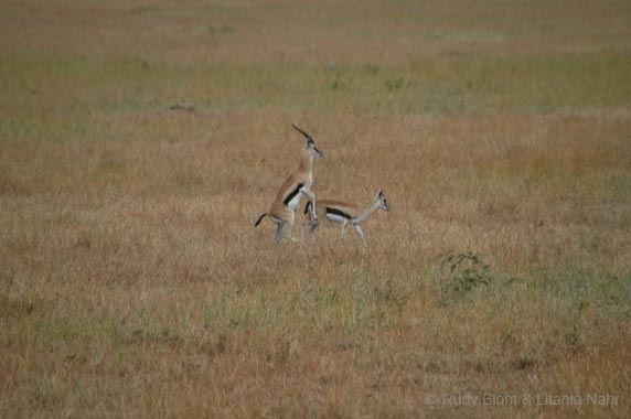 Tanzania_200307_08DSC_0015