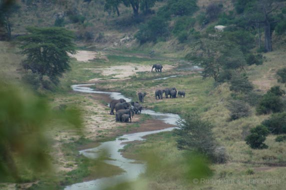 Tanzania_200307_02DSC_0045